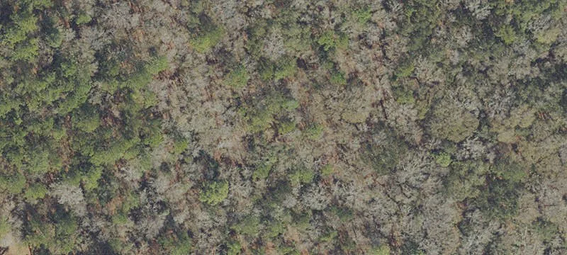 Agricultural Land Parcel