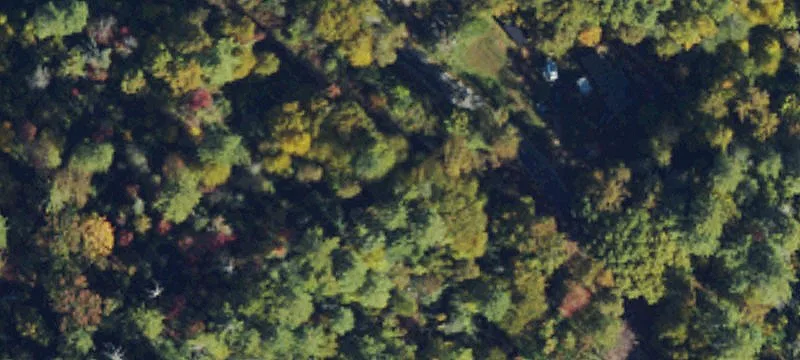 Wooded Land with Conservation Easement