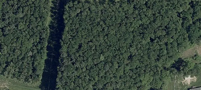 Wooded Residential Home Site