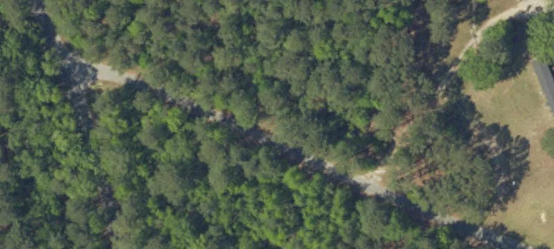 Wooded Residential Building Lot