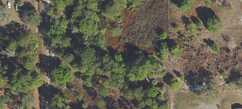 Country Residential Land with Driveway