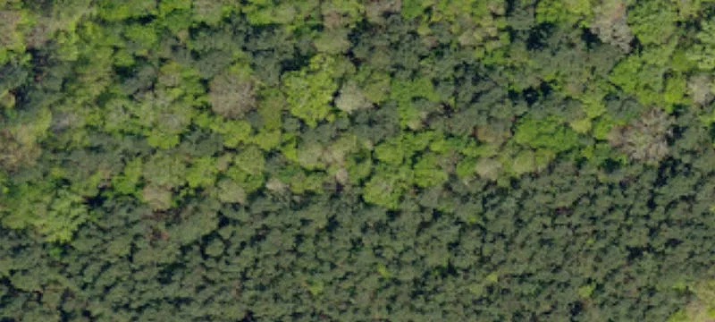 Low-Density Residential & Hobby Farm Land