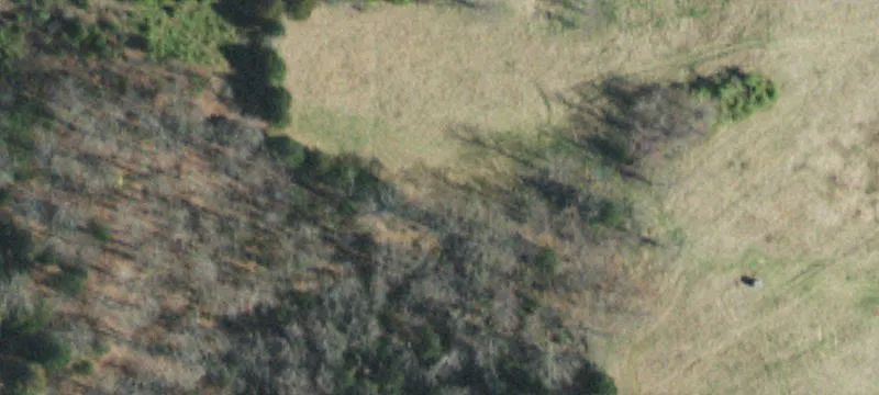 Waterfront Farmland Tract with Cabin