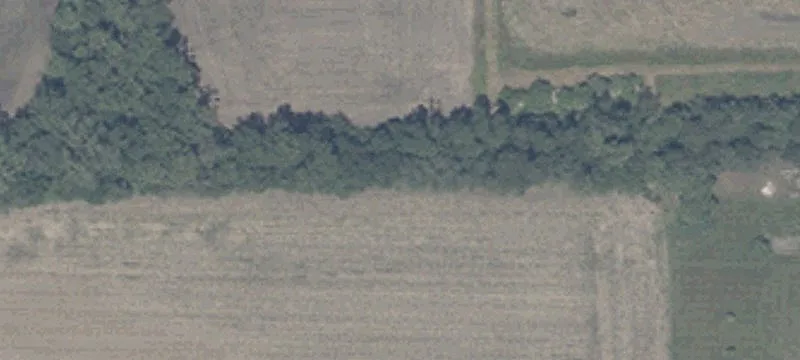 Wooded Residential Building Lot