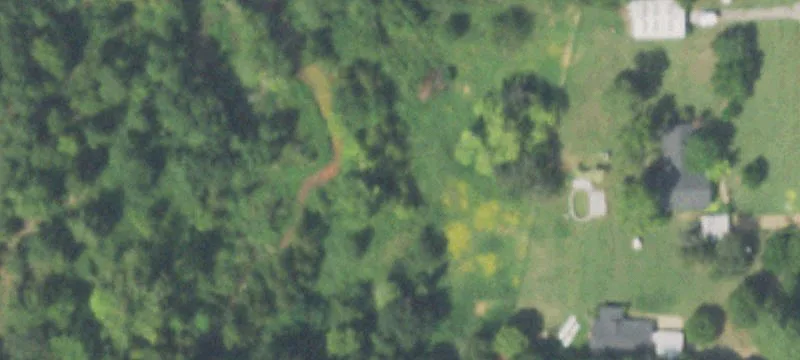 Ranch Land with Creeks and Pasture