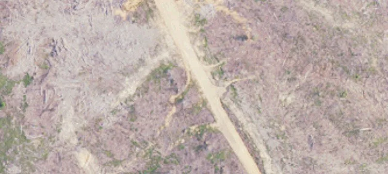 Flat Buildable Estate Lot Land