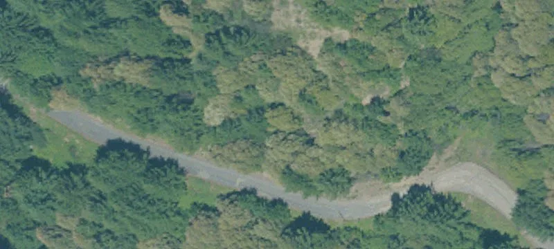 Wooded Residential Development Lot