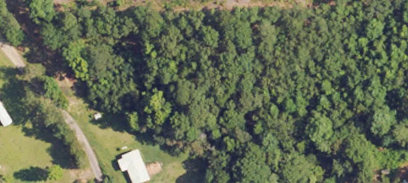 Mature Timber Hunting Tract
