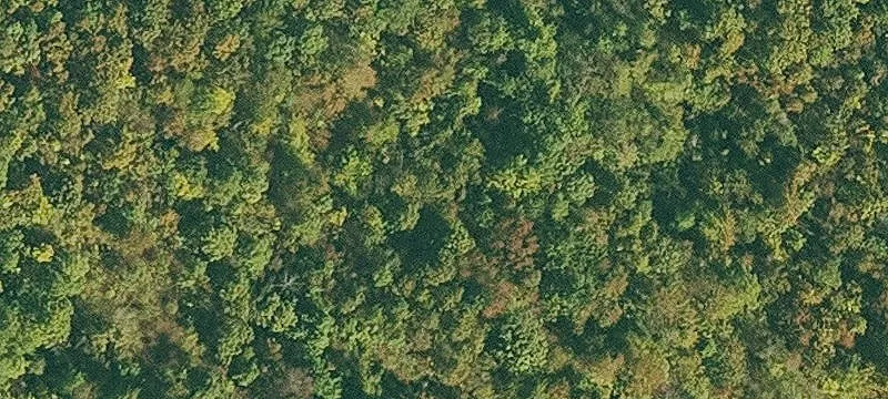 Waterfront Land Parcel