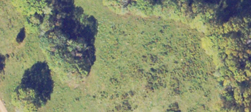 Cleared Acreage Home Site