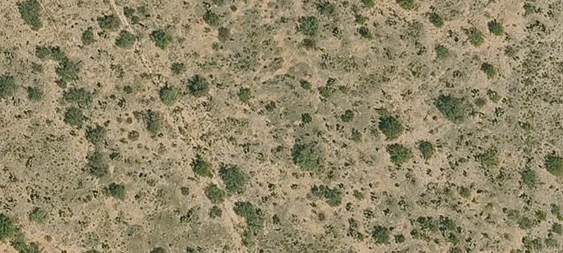 Pristine Land Homestead Parcel