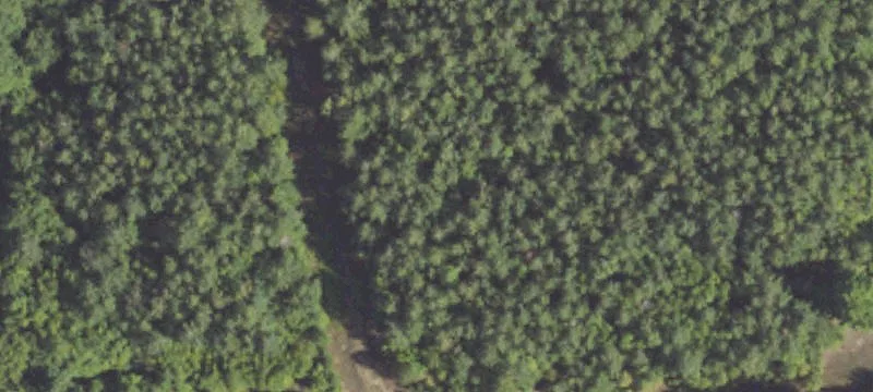 Estate-Sized Recreational Land Parcels
