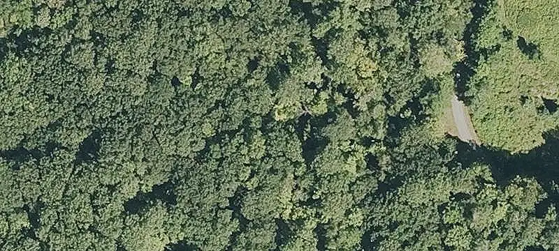 Wooded Land Parcel with Open Field