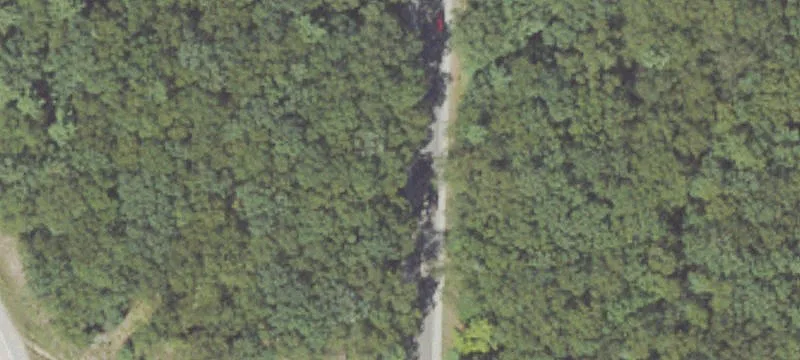 Wooded Commercial Development Land