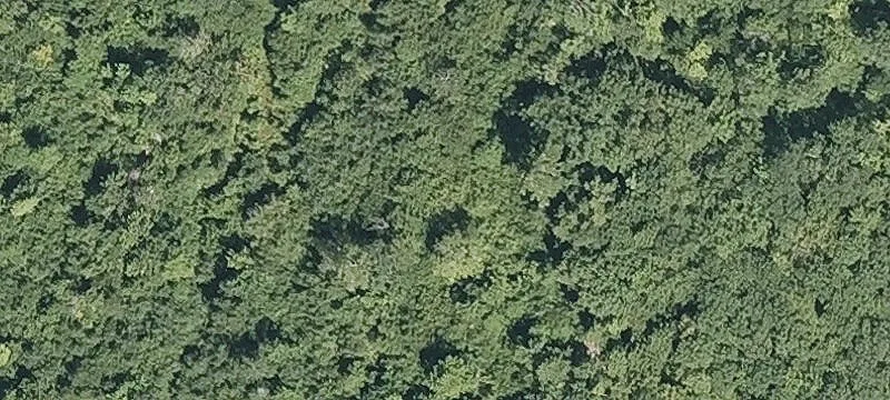 Recreational Hunting Land Parcel