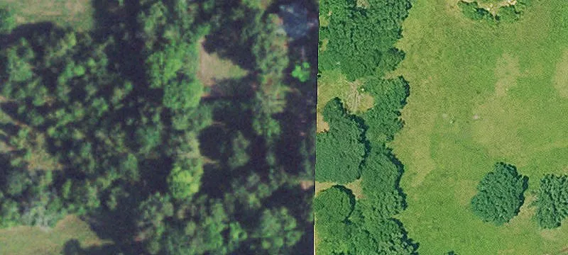 Hunting Land with Timber and Creeks