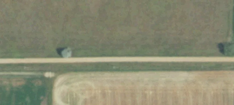 Agricultural Farmland Tract