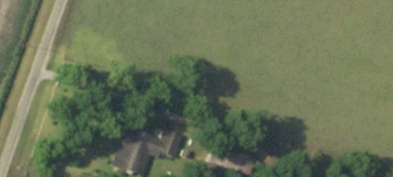 Pecan Orchard with Fixer-Upper Home