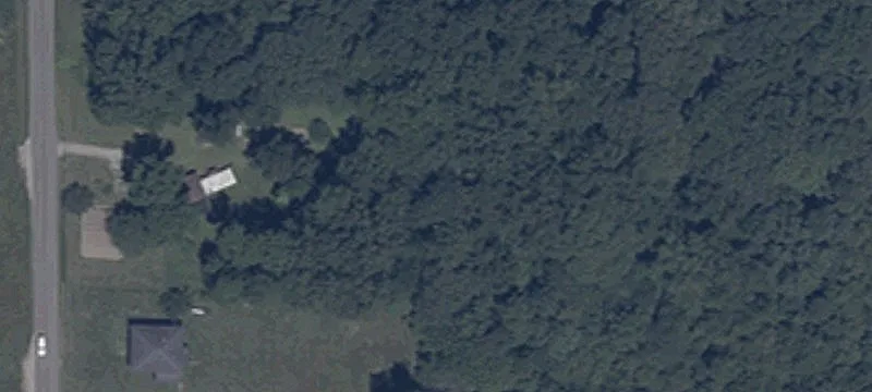 Wooded Hunting Tract