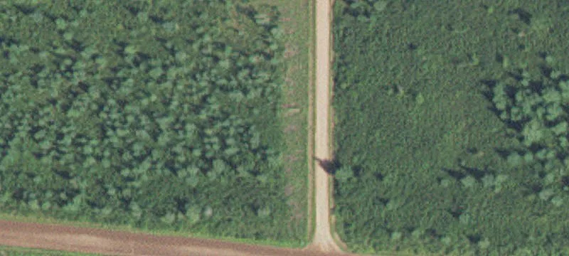 Hunting Land with Enclosed Stands