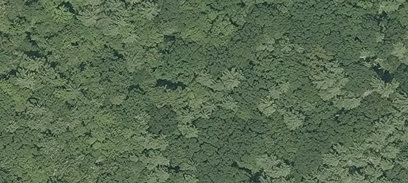 Residential Lot with 4-Bed Septic Approval