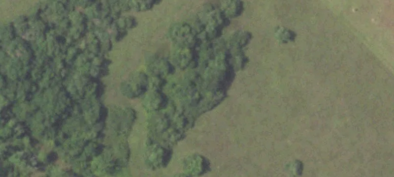 Agricultural Land Tract