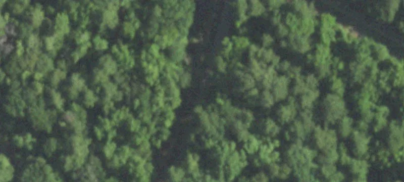 Wooded Farmland Tract with Creek
