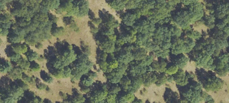 Agricultural Land Parcel