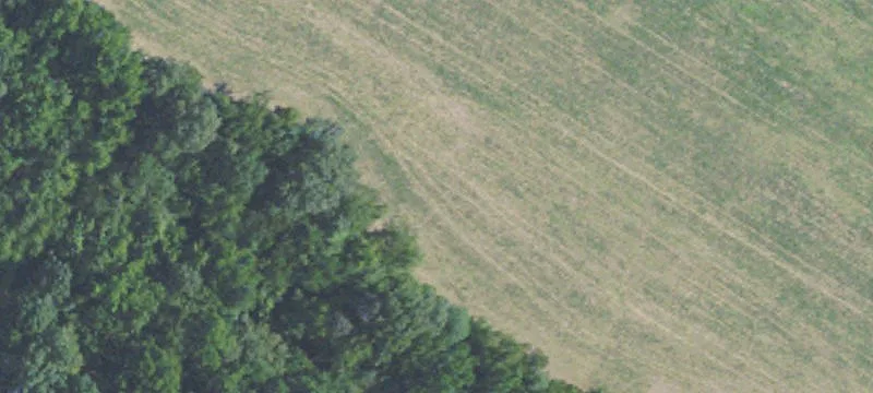 Acreage Lot for Residential Development