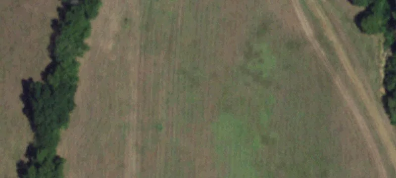 Agricultural Land Tract with Gated Access