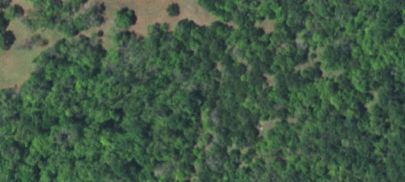 Farmland Tract Off County Road