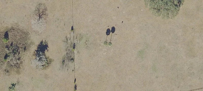 Agricultural Farmland Tract
