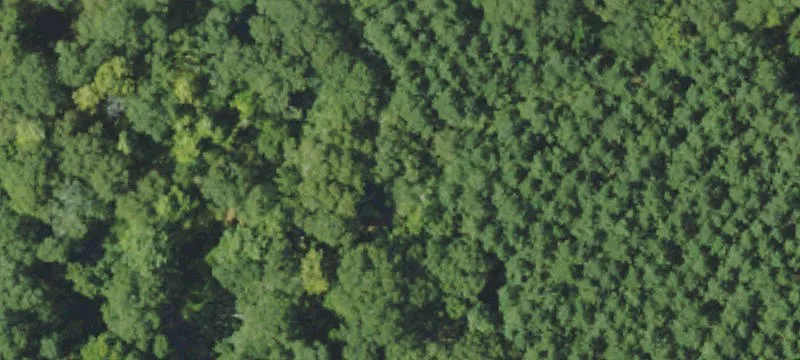 Agricultural Land Parcel
