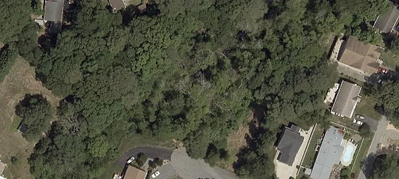 Coastal Wooded Building Lot
