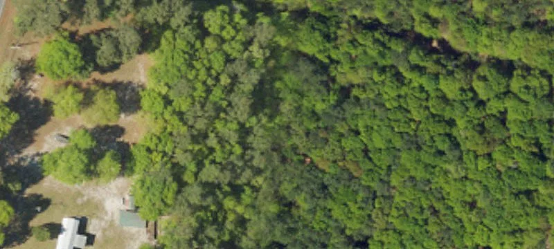 Wooded Residential Land Lots