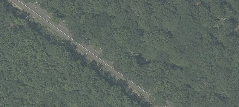 Wooded Hunting Land with Road Access