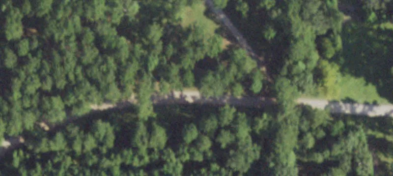 Heavily Wooded Hunting Tract