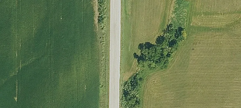 CRP-Enrolled Hunting & Timber Land