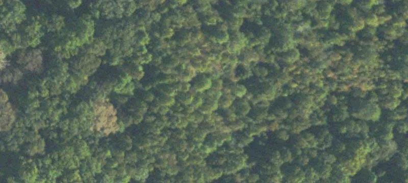 Agricultural Land Parcel