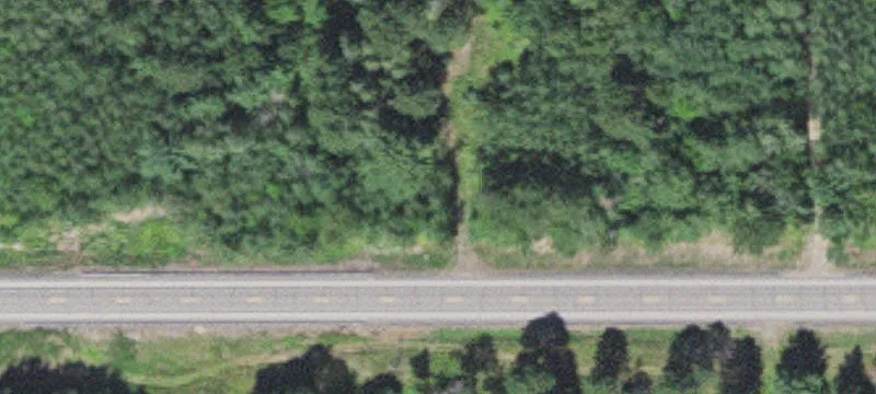 Hunting Land for Sale