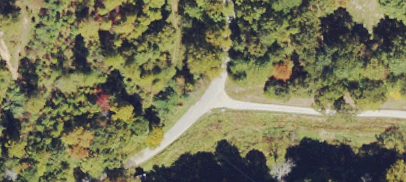 Timber Rights Residential Acreage