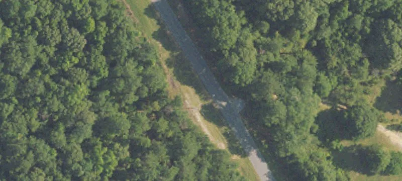 Timber and Hunting Tract Land