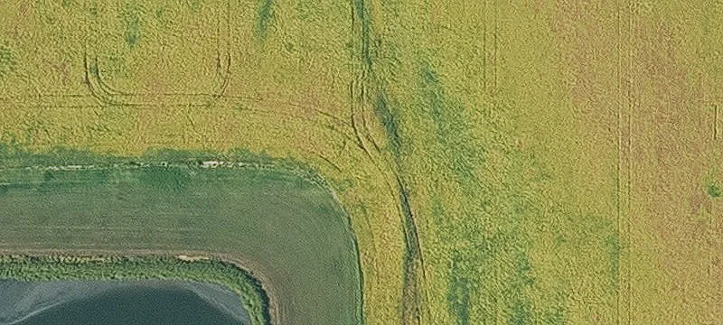 Productive Tiled Farmland