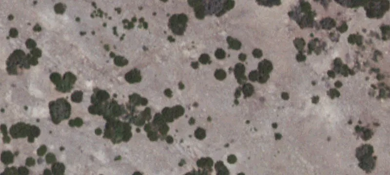 Turn-Key Recreational Hunting Land