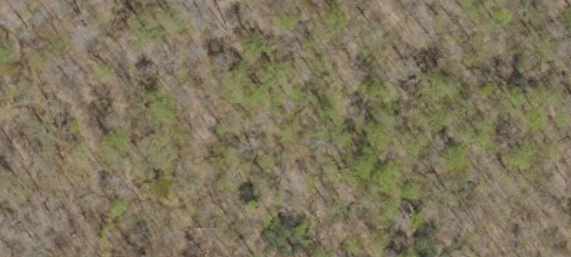 Landlocked Farmland Parcel