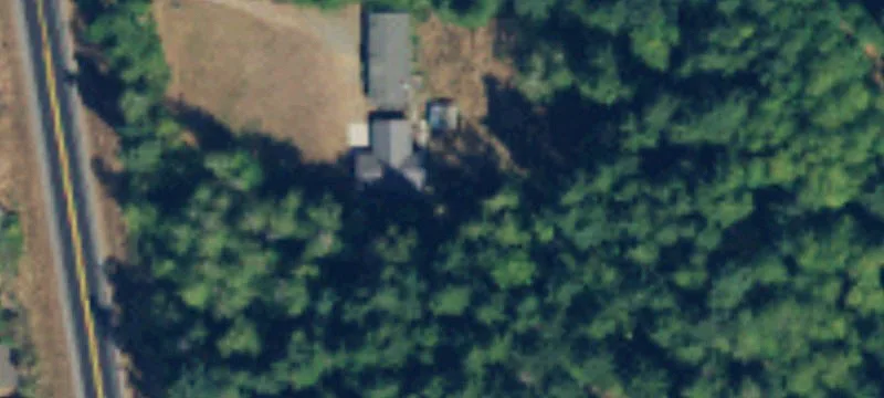 Forested Buildable Land Parcel