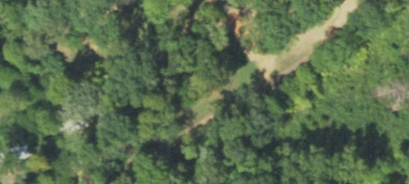 Fenced Farmland Tract with Road Frontage