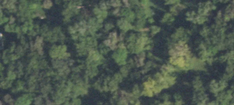 20-Acre Agricultural Tract