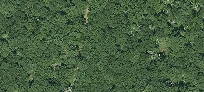 Residential Development Land Lot