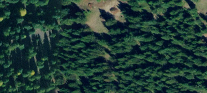 Waterfront Land with River Frontage